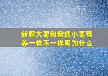 新疆大枣和普通小枣营养一样不一样吗为什么