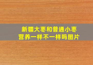 新疆大枣和普通小枣营养一样不一样吗图片