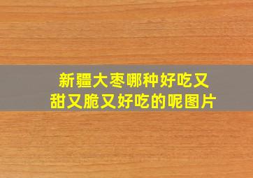 新疆大枣哪种好吃又甜又脆又好吃的呢图片