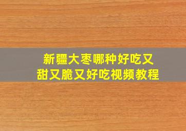 新疆大枣哪种好吃又甜又脆又好吃视频教程