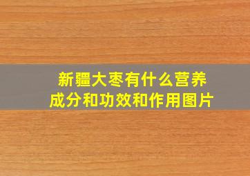 新疆大枣有什么营养成分和功效和作用图片