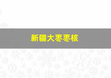 新疆大枣枣核