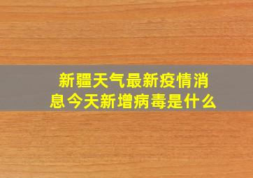 新疆天气最新疫情消息今天新增病毒是什么