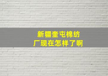 新疆奎屯棉纺厂现在怎样了啊