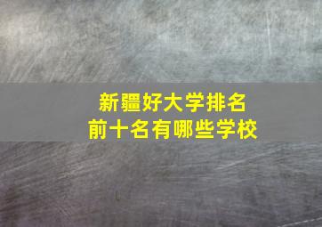 新疆好大学排名前十名有哪些学校