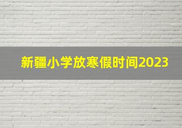 新疆小学放寒假时间2023