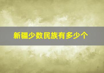 新疆少数民族有多少个