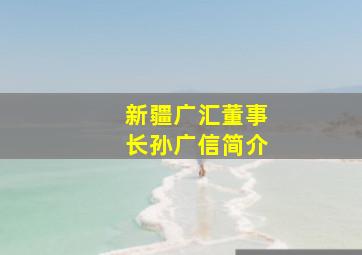 新疆广汇董事长孙广信简介