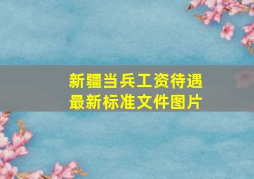 新疆当兵工资待遇最新标准文件图片