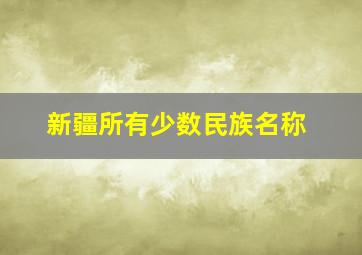 新疆所有少数民族名称