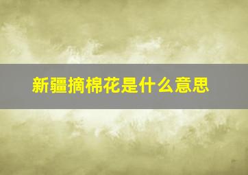 新疆摘棉花是什么意思