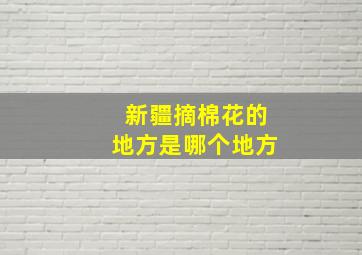 新疆摘棉花的地方是哪个地方