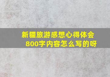 新疆旅游感想心得体会800字内容怎么写的呀