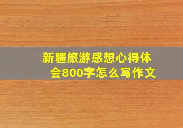 新疆旅游感想心得体会800字怎么写作文