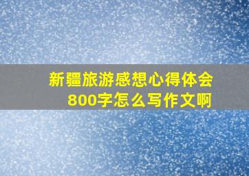 新疆旅游感想心得体会800字怎么写作文啊