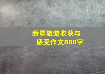 新疆旅游收获与感受作文800字