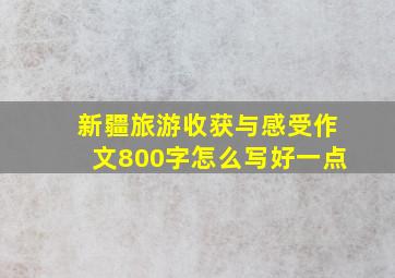 新疆旅游收获与感受作文800字怎么写好一点