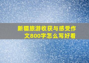 新疆旅游收获与感受作文800字怎么写好看