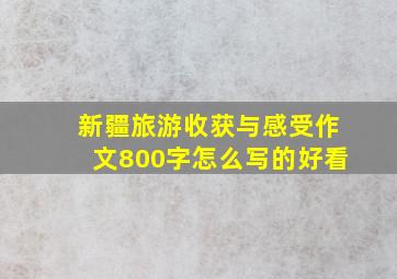 新疆旅游收获与感受作文800字怎么写的好看