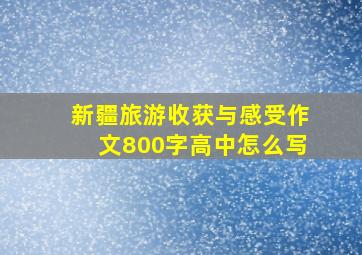 新疆旅游收获与感受作文800字高中怎么写