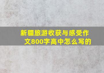 新疆旅游收获与感受作文800字高中怎么写的