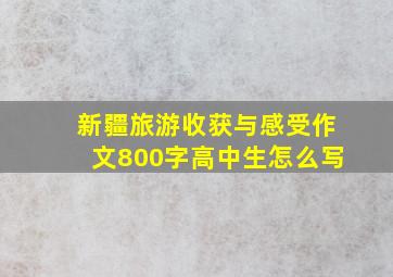 新疆旅游收获与感受作文800字高中生怎么写