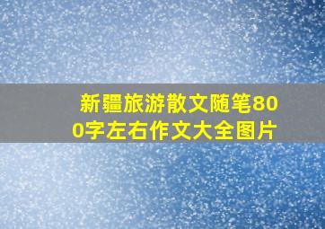 新疆旅游散文随笔800字左右作文大全图片