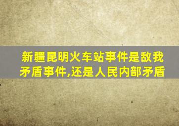 新疆昆明火车站事件是敌我矛盾事件,还是人民内部矛盾