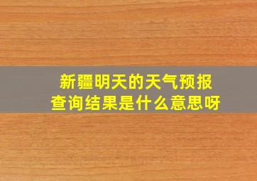 新疆明天的天气预报查询结果是什么意思呀