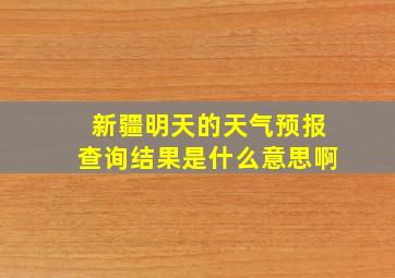 新疆明天的天气预报查询结果是什么意思啊