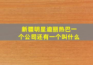 新疆明星迪丽热巴一个公司还有一个叫什么