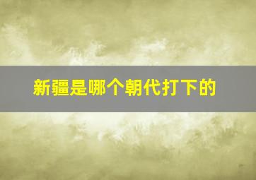 新疆是哪个朝代打下的