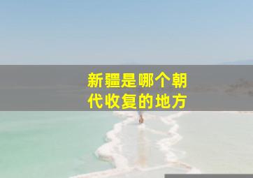 新疆是哪个朝代收复的地方