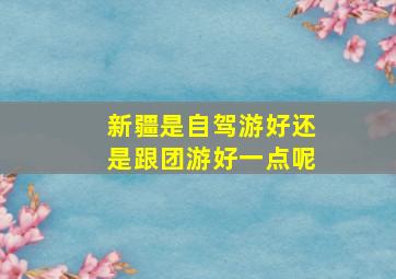 新疆是自驾游好还是跟团游好一点呢