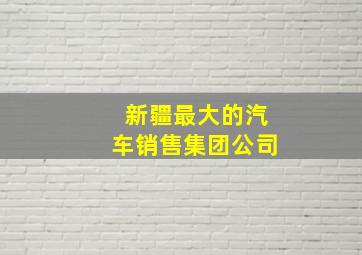 新疆最大的汽车销售集团公司