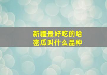 新疆最好吃的哈密瓜叫什么品种