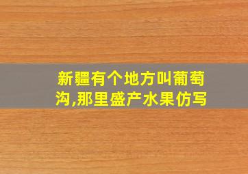 新疆有个地方叫葡萄沟,那里盛产水果仿写