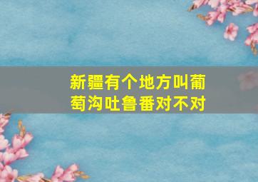 新疆有个地方叫葡萄沟吐鲁番对不对