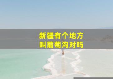 新疆有个地方叫葡萄沟对吗