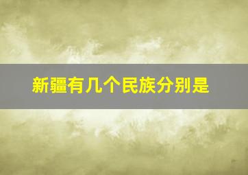 新疆有几个民族分别是