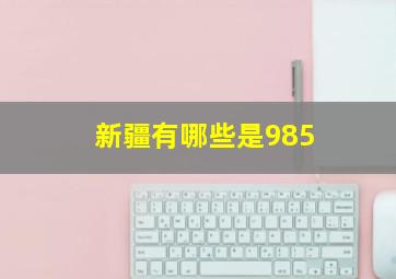 新疆有哪些是985