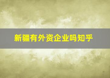 新疆有外资企业吗知乎