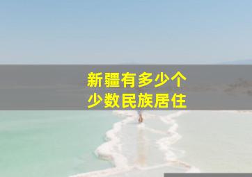 新疆有多少个少数民族居住