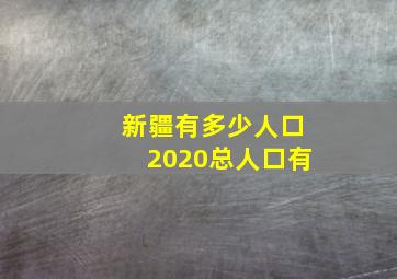 新疆有多少人口2020总人口有