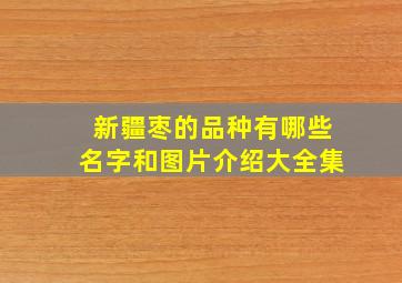 新疆枣的品种有哪些名字和图片介绍大全集