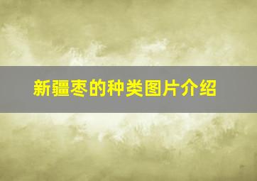 新疆枣的种类图片介绍