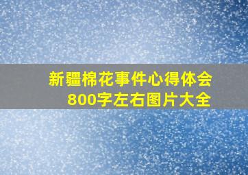 新疆棉花事件心得体会800字左右图片大全