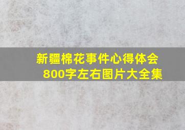 新疆棉花事件心得体会800字左右图片大全集