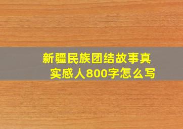 新疆民族团结故事真实感人800字怎么写