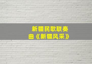 新疆民歌联奏曲《新疆风采》